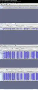 Voice-Over: Professional Editing & Mastering With Audacity