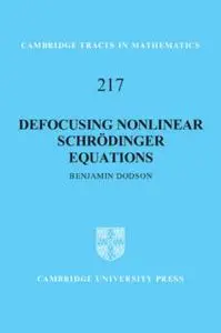 Defocusing Nonlinear Schrödinger Equations