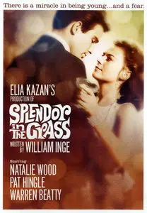Splendor In The Grass (1961)