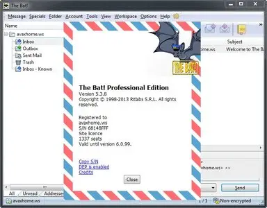 The Bat! 5.3.8 Professional Multilanguage