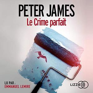 Peter James, "Le crime parfait"