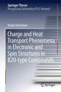 Charge and Heat Transport Phenomena in Electronic and Spin Structures in B20-type Compounds