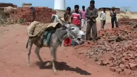 Horse and Country - Saving the Slumdog Donkeys (2009)