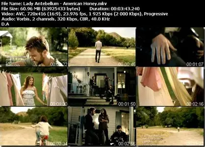 Lady Antebellum - American honey (2010)