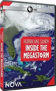 PBS Nova - Inside the Megastorm (2012)