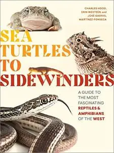 Sea Turtles to Sidewinders: A Guide to the Most Fascinating Reptiles and Amphibians of the West