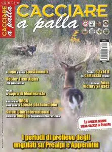 Cacciare a Palla - Luglio 2015