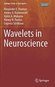 Wavelets in Neuroscience (Repost)