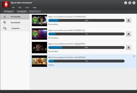 Tipard Video Downloader 5.0.32 Multilingual Portable