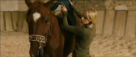 Ma bonne étoile (2012)