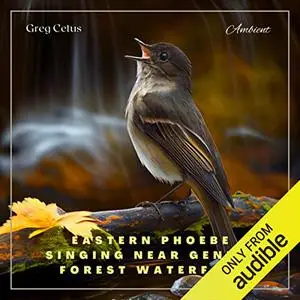 Eastern Phoebe Singing Near Gentle Forest Waterfall: Natural Ambience for Coding and Meditation [Audiobook]