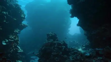 A World of Calm S01E01