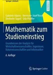 Mathematik zum Studieneinstieg (Auflage: 6) [Repost]