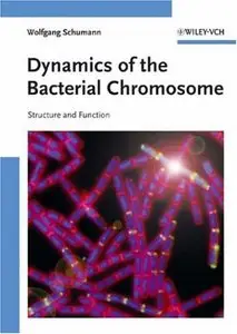 Dynamics of the Bacterial Chromosome: Structure and Function by Wolfgang Schumann