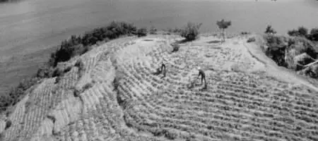 Kaneto Shindô-Hadaka no shima ('Naked Island') (1960)