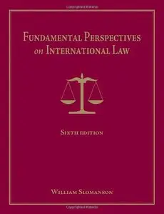 Fundamental Perspectives on International Law 