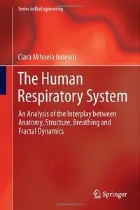 The Human Respiratory System: An Analysis of the Interplay between Anatomy, Structure, Breathing and Fractal Dynamics