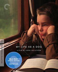My Life As A Dog / Mitt liv som hund (1985)