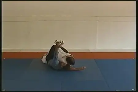 The Practical Grappler