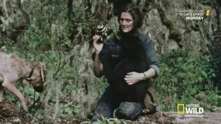 DIAN FOSSEY: SECRETS IN THE MIST (Part 1)