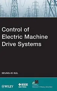 Control of Electric Machine Drive Systems