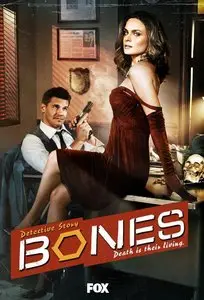 Bones S08E01-02-03-04