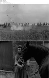 Culloden (1964)