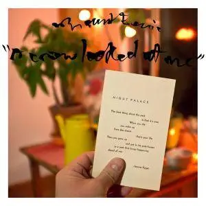 Mount Eerie - A Crow Looked at Me (2017)