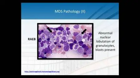 Cleveland Clinic Annual Intensive Review of Internal Medicine (26th edition)