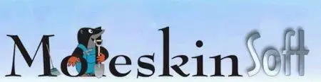 Molenskisoft Directory Size v1.7