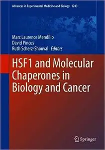 HSF1 and Molecular Chaperones in Biology and Cancer (Advances in Experimental Medicine and Biology