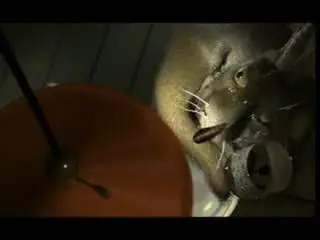 Pixar - Animations