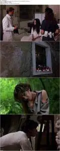 The Stendhal Syndrome (1996)