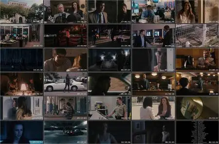 Beyond a Reasonable Doubt (2009)