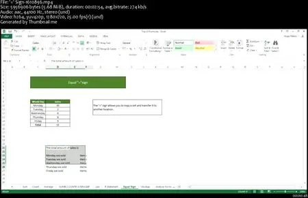 Microsoft Excel 2013 Training for Beginners / Intermediate