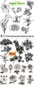 Vectors - Floral Decoration Elements Mix 43