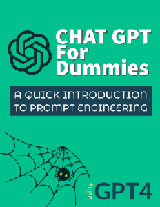 Chat GPT for Dummies: A Quick Introduction to Prompt Engineering!