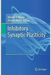 Inhibitory Synaptic Plasticity [Repost]