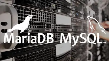 Mysql Mariadb From Scratch - Become An App Developer In 2022