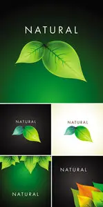 Natural Backgrounds Vector