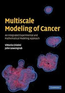Multiscale modeling of cancer : an integrated experimental and mathematical modeling approach