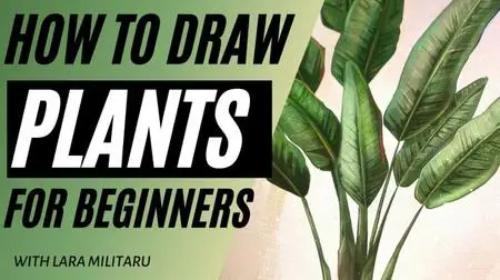 How to Draw Plants for Beginners (Procreate)