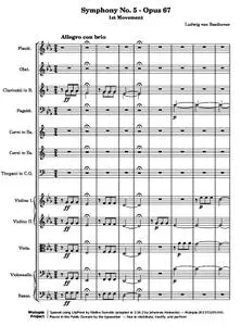 BeethovenLv - Symphony No. 5 - Opus 67 (1st Movement)