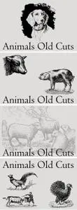 Animals Old Cuts Font