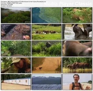 BBC Natural World - Rainforests for the Future (2007)