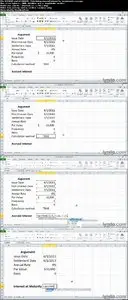 Excel 2010: Financial Functions in Depth