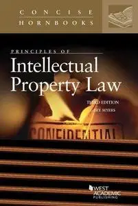 Principles of Intellectual Property Law (Concise Hornbook Series)
