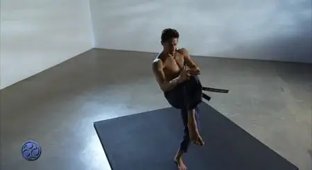Cameron Shayne - Budokon DVD Set (2007)