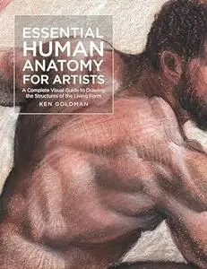 Essential Human Anatomy for Artists
