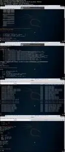 Hacking with Metasploit: Pre Exploitation Techniques